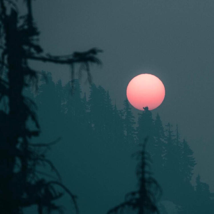 武田观柳（身份：恶德实业家、操纵鸦片贸易） - 辣舞影视网址在线观看21 - 电脑观看